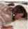 camgirl amateur doggy