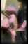 camgirl amateur blowjob