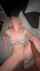 missionary bbc interracial