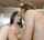 small tits tattooed small rounded ass