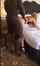 blonde interracial bbc