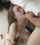 xsblowjob on her kxsnees deepthroatxs