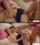 redhead creampie ginger