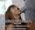 riley reid interracial beauty