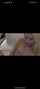 cuckold bbc caught