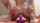 camgirl amateur dildo