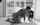 doggystyle kneeling black and white