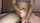 asian long nails handjob