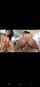 anal analsex cowgirl