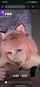 pink hair tattoos blowjob