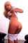 ass pretty busty