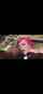 camgirl amateur onlyfans