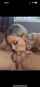 blowjob blondr hot