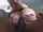 anal interracial shaved