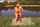 big ass big boob mature women