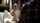 camgirl amateur ebony