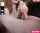 handjob toy pov