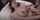 asian japanese av jav