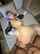 camgirl amateur ebony