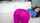sex celebrity spandex blue and pink