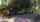 camgirl public risky
