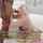 blonde interracial blowjob