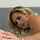 blonde british english