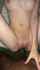 bbc milf interracial