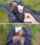 public voyeur picnic