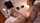 jav japan japanese
