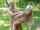 old blond anal