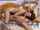 threesome sexy hot