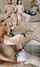 camgirl amateur ffm