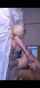 asian blonde censored