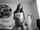 camgirl dancing amateur