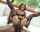brunette bbc sex