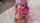 pornstar model adult