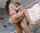 violet myers troy francisco curvy