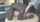 bbc high hills interracial