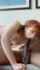 redhead red head bbc