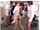 group sex jav japanese