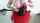 camshow cam camgirl
