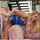 bbw big boob women caught