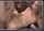 small tits missionary sex on couch