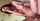 couple cum mouth
