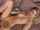 webcam camgirl blonde