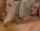 peter north blonde blowjob
