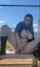 camgirl amateur solo