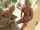 squirting orgy lesbian