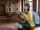jav japanese adult video